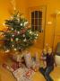 gal/2014/21 Vanoce 2014/_thb_IMG_0702.JPG